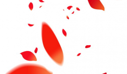 花瓣动漫,描绘青春梦想的奇幻画卷